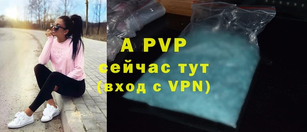 хмурый Белокуриха