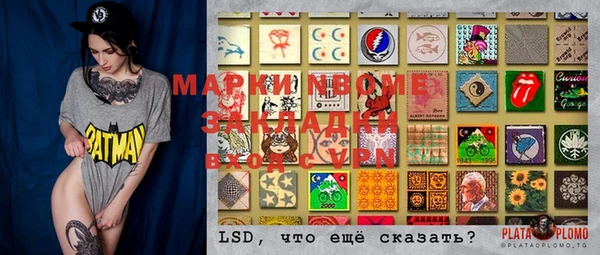 хмурый Белокуриха