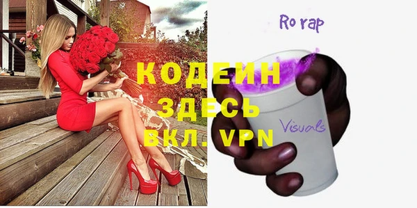 хмурый Белокуриха