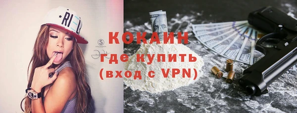 хмурый Белокуриха