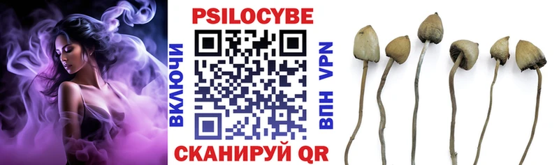 Галлюциногенные грибы Magic Shrooms  купить наркотики сайты  Эртиль 
